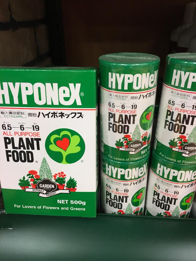 アプローチの画像 by サンリョー園芸センター 緑店さん | アプローチと肥料と植え替えシーズン到来!と植中毒と花自慢