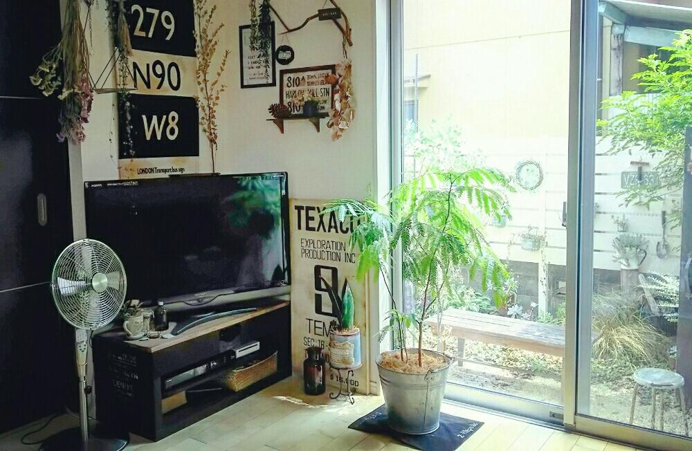 部屋の画像 by -mai-さん | 部屋とエバーフレッシュと観葉植物と植物のある暮らしとno green no lifeとリビングと古道具