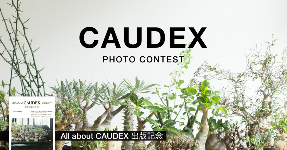 『CAUDEX - 塊根植物』フォトコンテスト