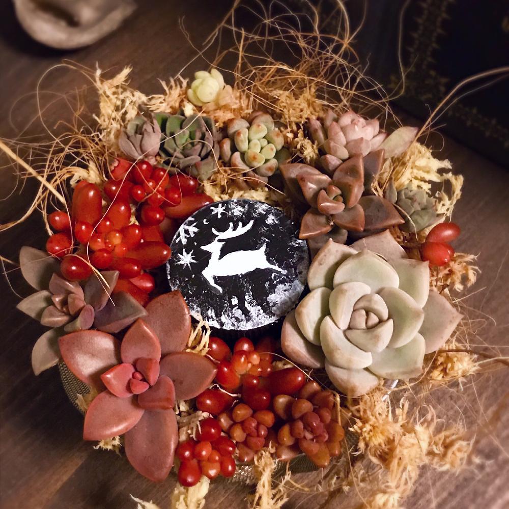 部屋の画像 by mayumiさん | 部屋とホワイトストーンクロプと虹の玉と ブロンズ姫と白牡丹とX'masコンテスト-2016-と多肉植物とセダム属と多肉植物寄せ植えと100均DIYと多肉植物リース