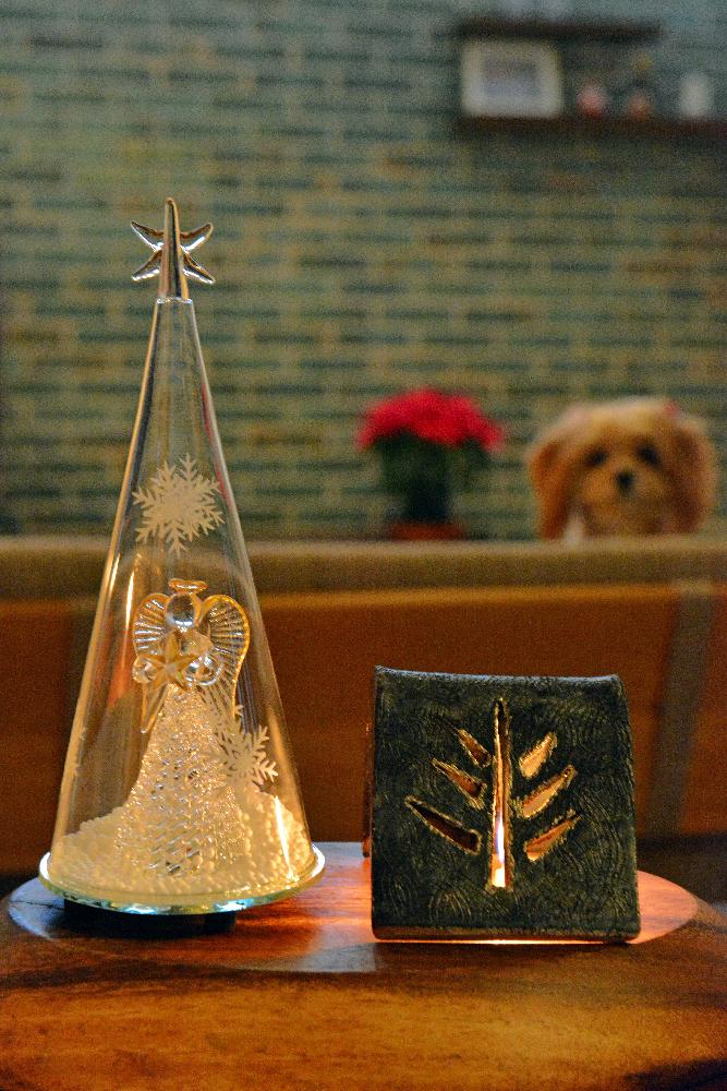 インテリアの画像 by 花火大好き人さん | インテリアとX'masコンテスト-2016-と『植物と暮らすリビング』コンテスト