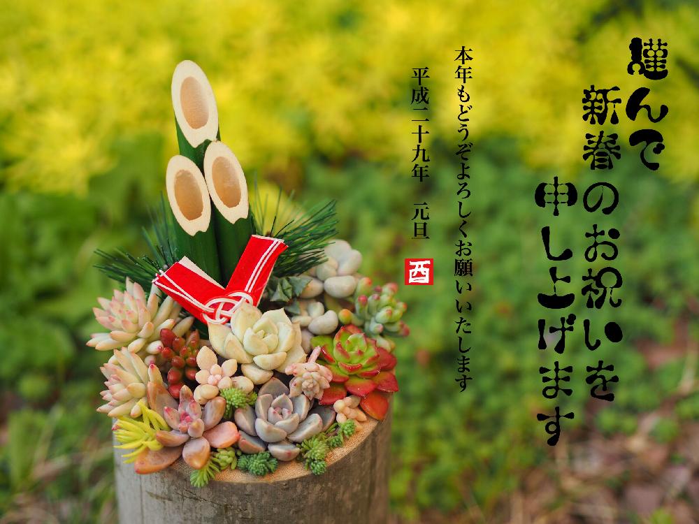 小さな庭の画像 by Tenさん | 小さな庭と多肉植物と多肉の寄せ植えと寄せ植えと紅葉する多肉と多肉植物寄せ植えと成長記録と多肉寄せ植えとTen's寄せ植えと『お正月飾り』コンテスト