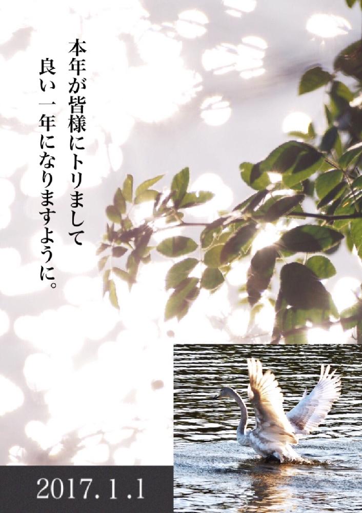 お出かけ先の画像 by Je suis…さん | お出かけ先と何かの雑草と愛知とamour.と豊橋と好きな色とお気に入りとJe suis… ,verte.と植中毒と好き♡とTrès bien!