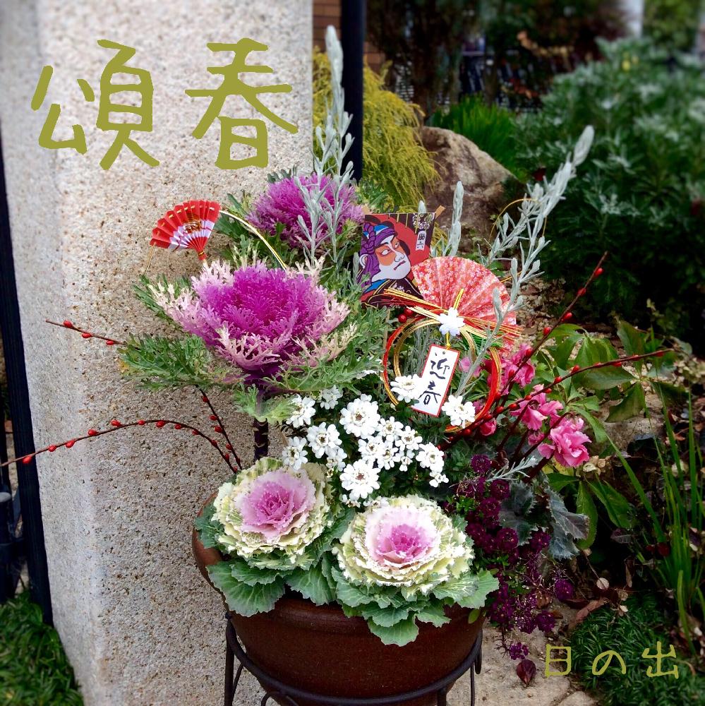 小さな庭の画像 by 日の出さん | 小さな庭と『お正月飾り』コンテストと今日のお花と寄せ植え