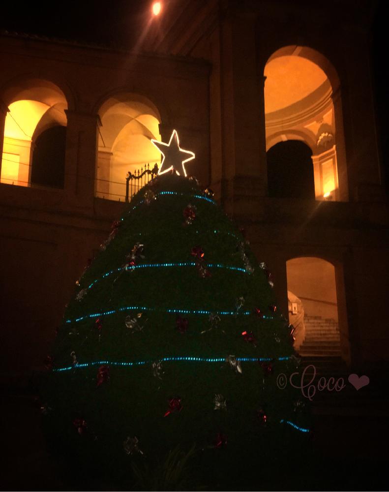 お出かけ先の画像 by Cocoさん | お出かけ先とsan luca と✨✨✨とfromイタリア◡̈♥︎とクリスマスデコレーションとキレイ☆とCoco taste ✴︎とNew Year 2017! とCoco ツリーコンテスト✨ とNatureとナチュラルスタイルとNature nature nature ✨とnatural Coco と鮮やか✨とクリスマスアレンジと(*ૣᵕ꒳̮ᵕ ૣ*)゚