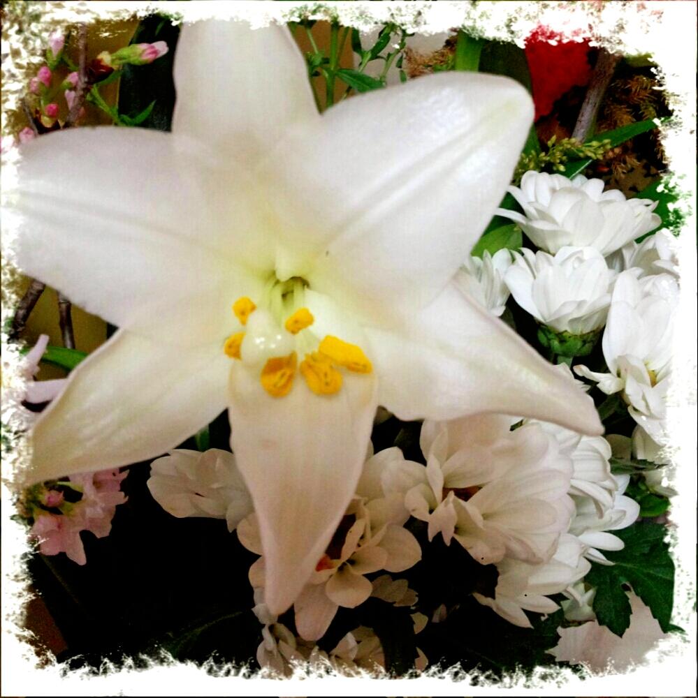 部屋の画像 by ちゃこ☆彡さん | 部屋と今日のお花と今日の一枚と切り花♡