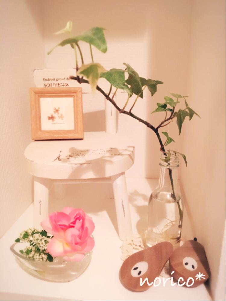 バス/トイレの画像 by noricoさん | バス/トイレとno green no lifeと今日の一枚とほのぼの。とナチュラルスタイルとかわいいと庭の花を飾る