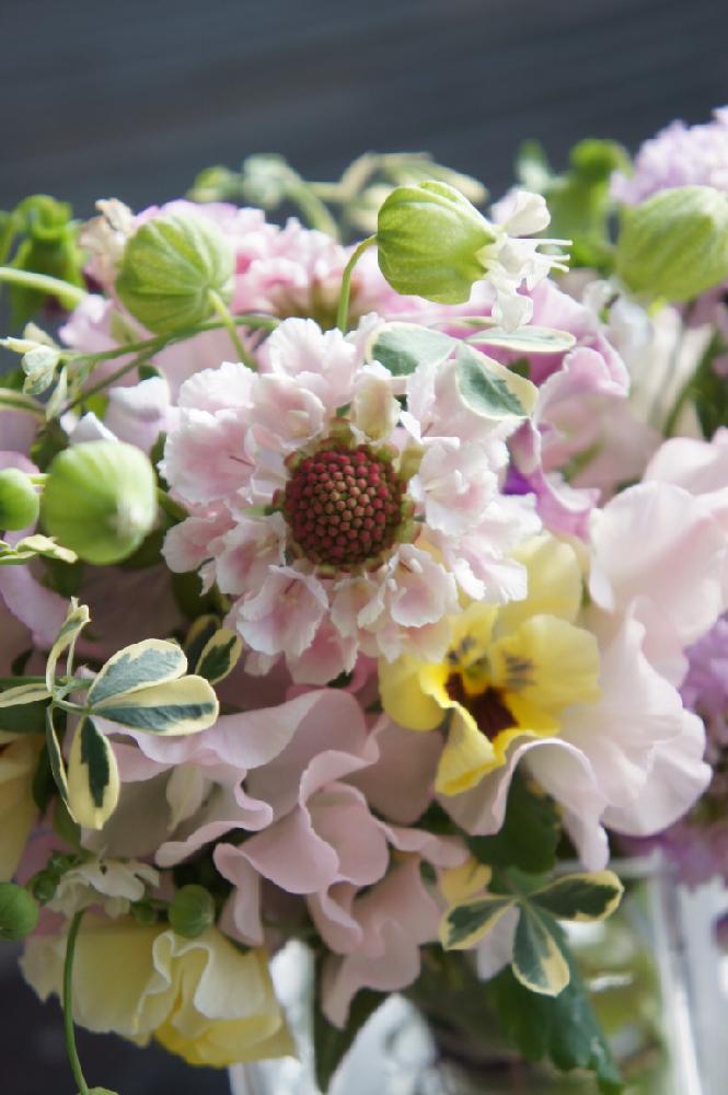 テラスの画像 by Yuilierさん | テラスと春のお花とユイリエとフローリストとYuilierとレッスンとブーケと花屋とフラワーアレンジメントとフラワーギフトと花束
