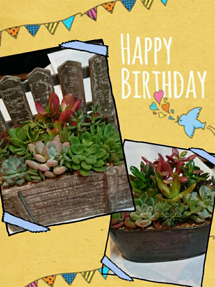 部屋の画像 by えりちゃんさん | 部屋とプレゼントと寄せ植えと植中毒と今日の一枚と誕生日