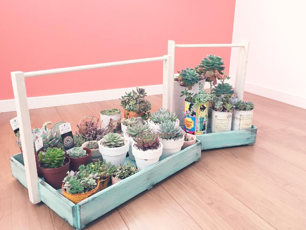 部屋の画像 by krsさん | 部屋と雪に負けない!と多肉植物とマイ・コレクションと冬越しと今日の一枚とDIY