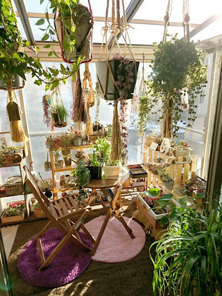 部屋の画像 by kyirkさん | 部屋と植物のある暮らしと植物ルームと多肉の寄せ植えとわが家の多肉スペースと癒しと子供と暮らすと多肉植物寄せ植えと植物まみれの部屋コンテストと植中毒と今日の一枚と多肉ルームとカフェガーデンに憧れると多肉女子とガーデニングとサンルームと我が家の植物部屋と多肉寄せ植えとプラハンと青空