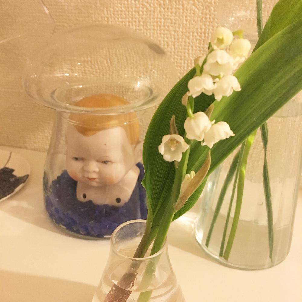 部屋の画像 by kaziochanさん | 部屋と観葉植物とお部屋と植中毒と今日の一枚と今日のお花と咲いた!