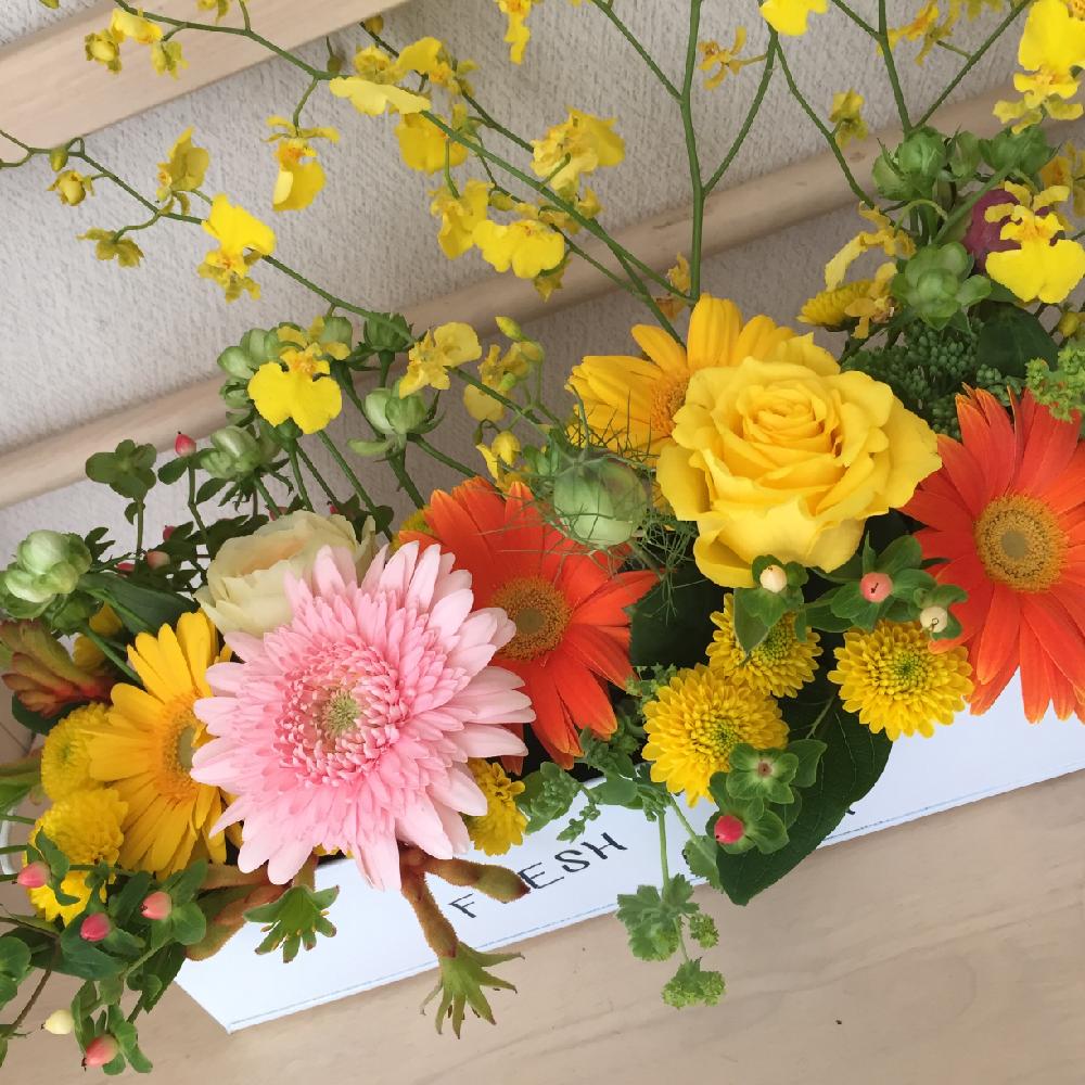 部屋の画像 by junon。:°ஐ*。さん | 部屋とニゲラとヒペリカムとコギクとガーベラとオンシジウムと今日のお花と花のある暮らしとフラワーアレンジメント