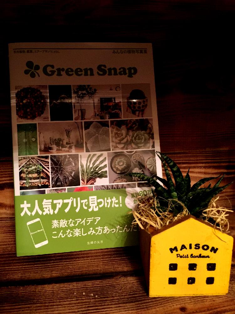 棚の画像 by ボンボン次郎さん | 棚とサンセべリアとインテリアグリーン
