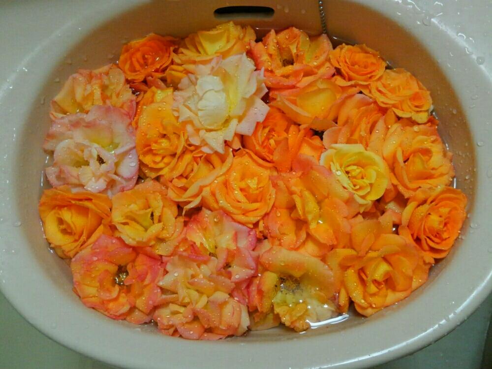 バス/トイレの画像 by pieni_sayaさん | バス/トイレとバラといただきものとご近所さんちのお花ときれいと大量とバラ好きとお花とバラを楽しむ