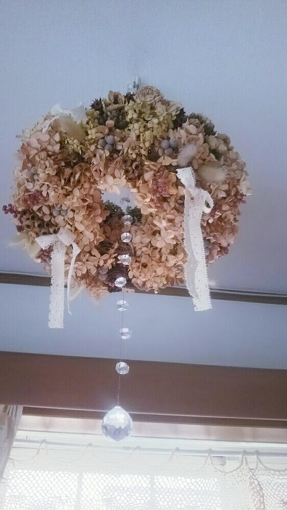 インテリアの画像 by ☺tonkichi☺さん | インテリアと植中毒と花のある暮らしと大切にするよ♡と❤200とグリーンのある暮らしとドライとドライフラワーアレンジとフライングリースとナチュラルスタイルと癒し…♡とサンキャッチャー✨