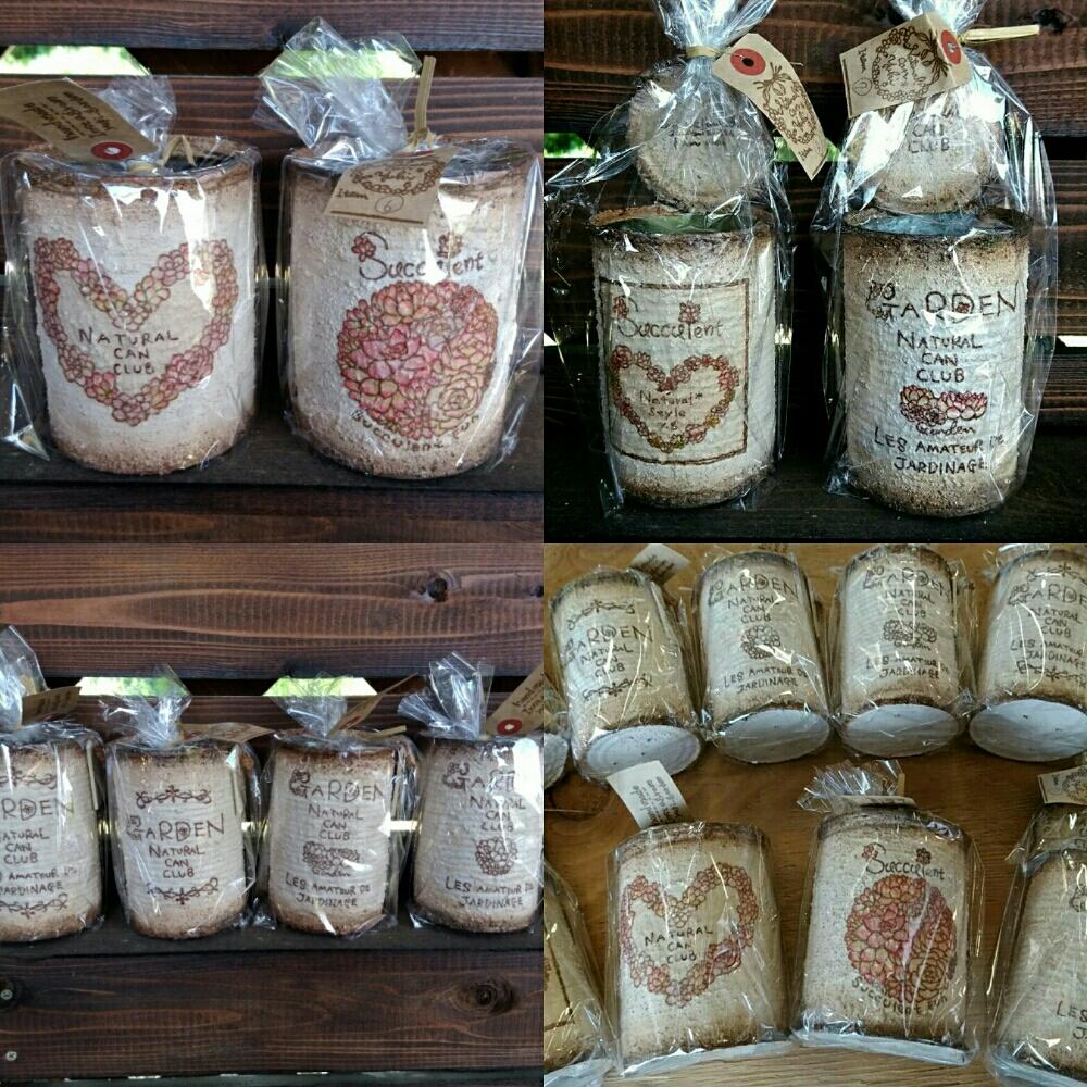 小さな庭の画像 by bizarrefarmさん | 小さな庭とナチュラル缶と多肉植物とリメ缶とbizarrefarmと多肉のある暮らしとplantsとyuki_gardenとgreenと多肉寄せ植えとsucculent