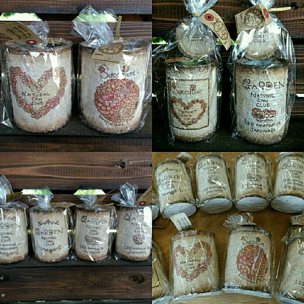 小さな庭の画像 by bizarrefarmさん | 小さな庭とナチュラル缶と多肉植物とリメ缶とbizarrefarmと多肉のある暮らしとplantsとyuki_gardenとgreenと多肉寄せ植えとsucculent