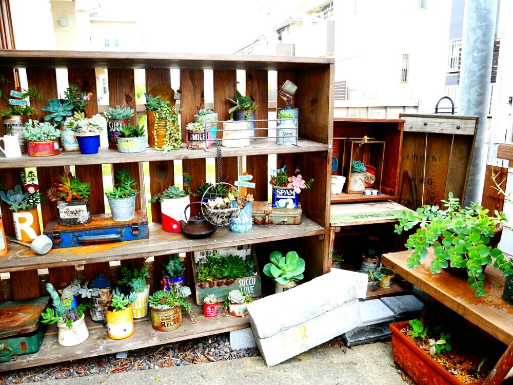 小さな庭の画像 by anさんさん | 小さな庭と多肉植物と男前リメイク缶とリメ缶とジャンクと100均とリメイクと多肉の寄せ植えと梅雨に負けないとCAINZグリーンDIYコンテストと多肉植物寄せ植えと今日の一枚と多肉女子とリメ缶・リメ鉢と木工とDIYとガーデニングと古道具とジャンクガーデンとリメイク缶と男前リメイクとsucculent