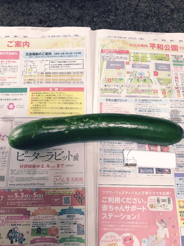部屋の画像 by ケイちゃんさん | 部屋とキュウリとプチ家庭菜園と自然の恵みと今日食べる予定と夏野菜と自然に感謝とライターと比較