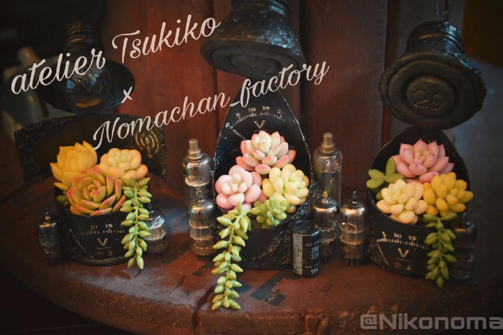インテリアの画像 by Nomachanさん | インテリアとリメ缶とJUNK GardenとCAINZグリーンDIYコンテストと多肉のある暮らしと汚缶とjunkと植中毒と笑顔の源とTsukikoチャンフェイク多肉と癒し空間とサビージョと錆錆と多肉と雑貨とDIYとハンドメイドとアンプなの?真空缶