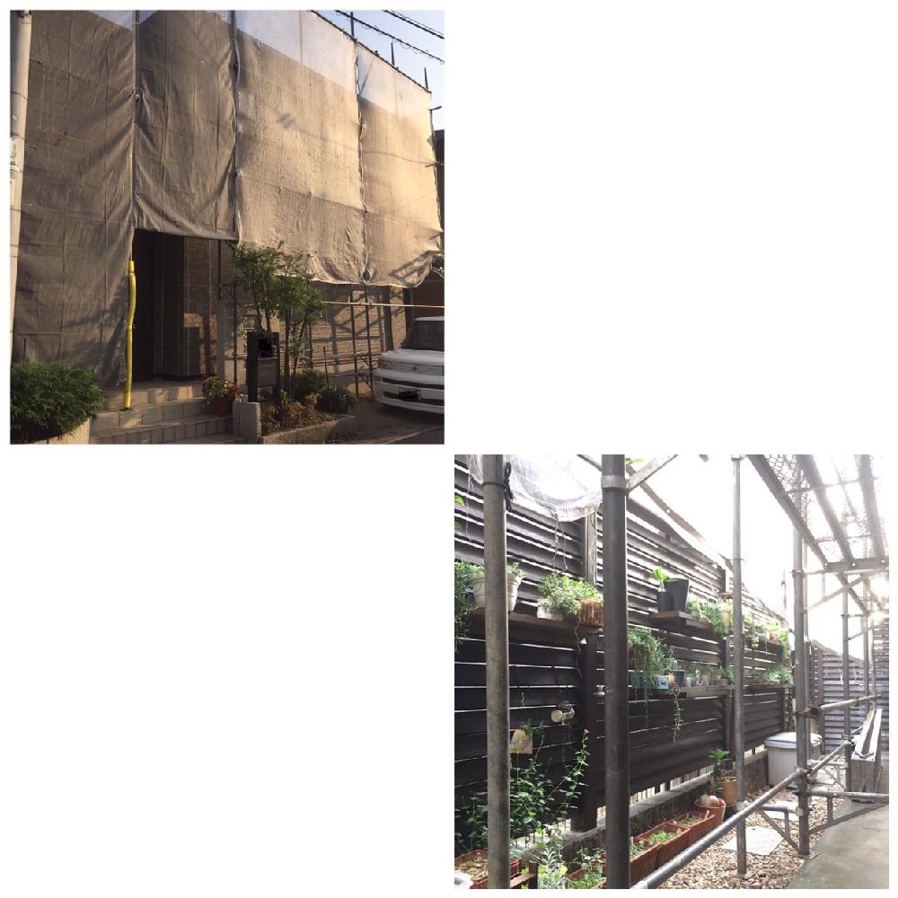 小さな庭の画像 by T♡さん | 小さな庭と植物いろいろと多肉植物と笑顔いっぱい❤️とサボテン科とお疲れ様です♡と棘に萌えちゃう♡と観葉植物と感謝の気持ちを忘れないとありがとう❤️とわが家の多肉スペースと棘棘会と今日の一枚と今日のお花と多肉女子とタニラーと癒しの場所と癒しの元気玉と花のある暮らしとキモかわが大好き♡とすくすく育ってね♡