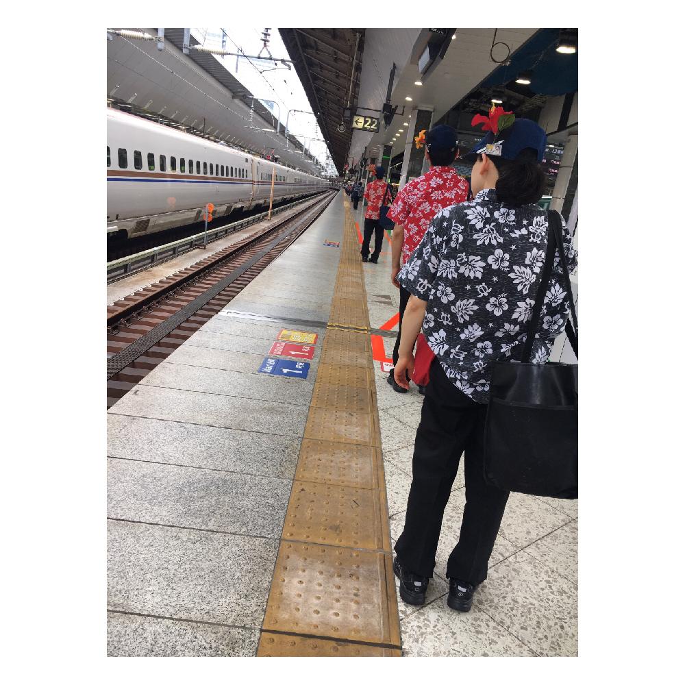 お出かけ先の画像 by Happyさん | お出かけ先とハイビスカスと季節感と東京駅と行ってきます