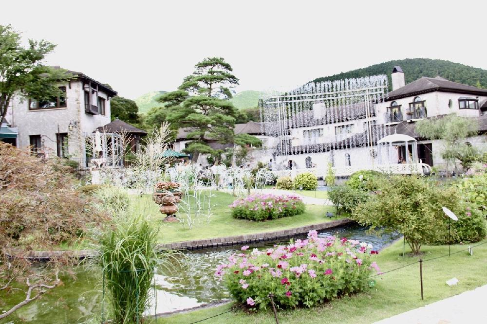 お出かけ先の画像 by Mr. マーさん | お出かけ先とコスモスとEOSと神奈川県の風景