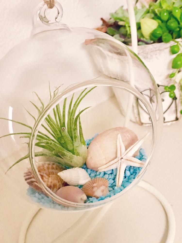 部屋の画像 by ゆーかさん | 部屋とエアプランツ☆とみどりのある暮らしと観葉植物とグリーンインテリアとお気に入りと癒し