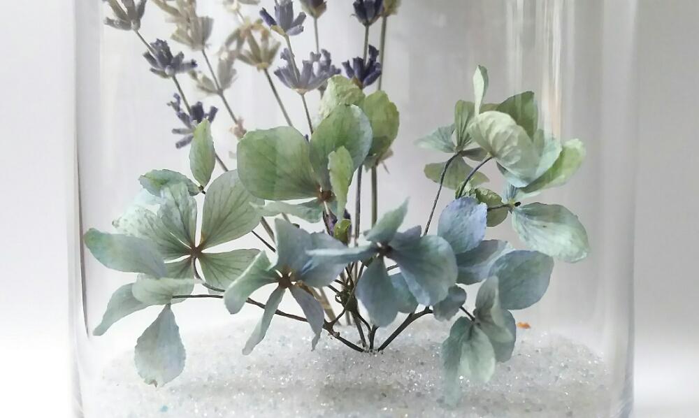 インテリアの画像 by Beeさん | インテリアと紫陽花とドライフラワーと紫陽花 アジサイ あじさいとラベンダー☆と好きかも↑とハーブと出てきた!