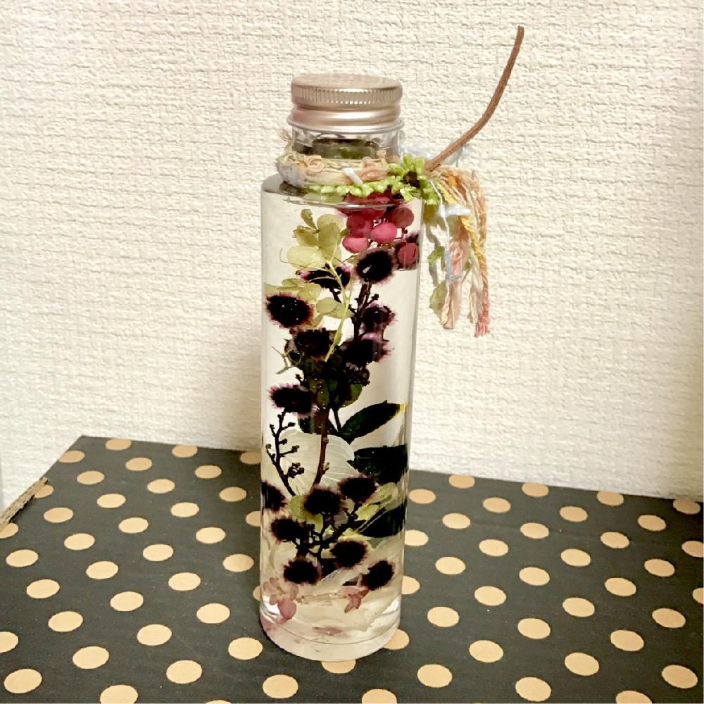 バルコニー/ベランダの画像 by たねさん | バルコニー/ベランダと福岡と多肉のある暮らしとベランダガーデンと植中毒とガーデニングとハーバリウムとバルコニスト