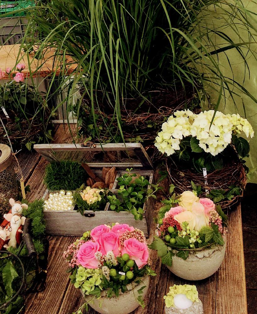 お出かけ先の画像 by ラッキーさん | お出かけ先と欲しいのいっぱい。と植中毒とみっけ♡︎ʾʾと花のある暮らしと薔薇♪と花が好きと宝石箱や〜!