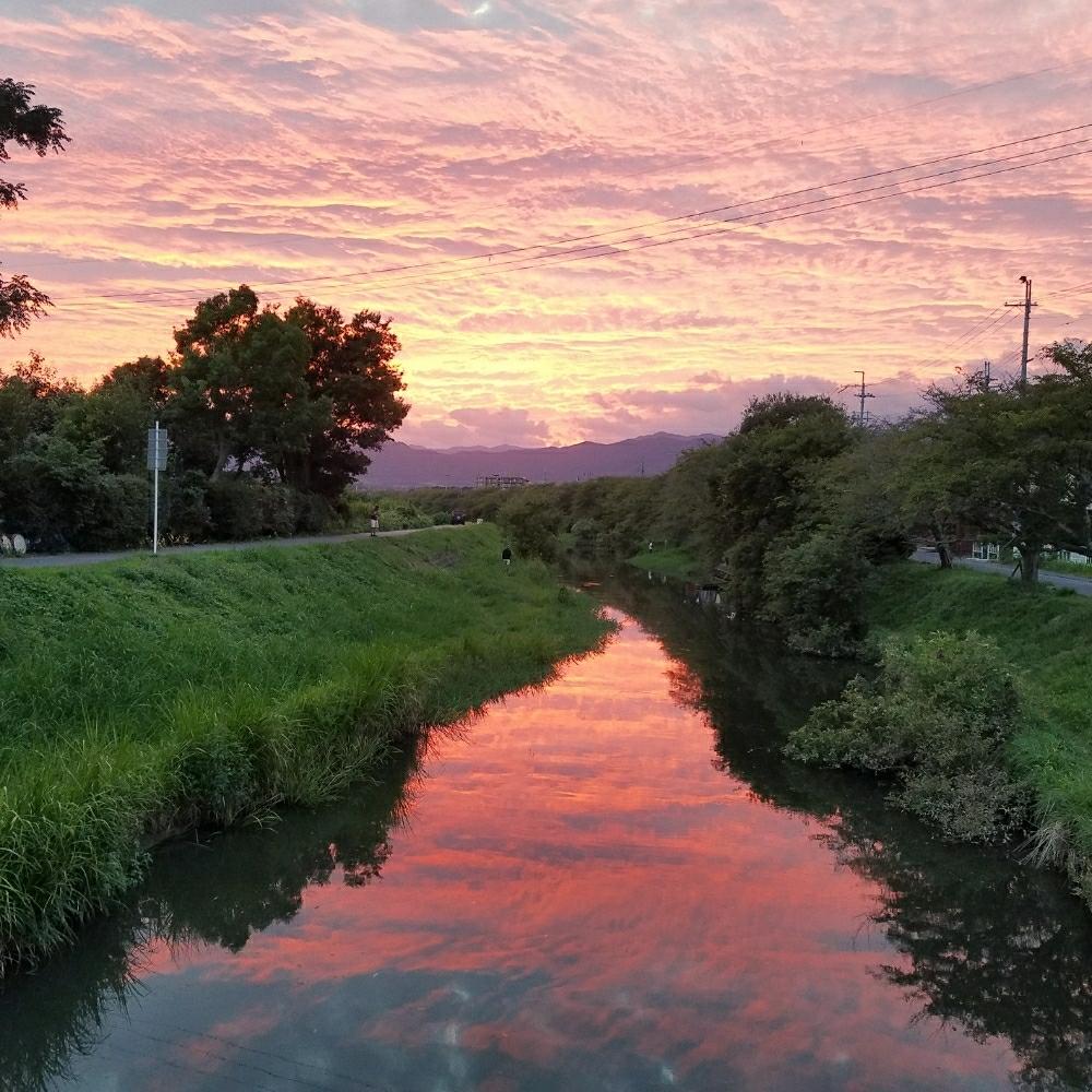 お出かけ先の画像 by こるでぃあさん | お出かけ先とソメイヨシノと元気いっぱいと初心者ですと愉快な仲間とHTCと植物と共に暮らすとGreen&PETを愛する会と奥様の趣味園タイム❤とGSのみなさんに感謝♡と植中毒と今日の一枚と頑張れと大切な宝ものとナチュラルスタイルとガーデニングと花のある暮らしと色合いがキレイとアウトドアリビング