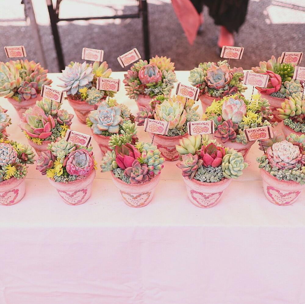 お出かけ先の画像 by yuki_gardenさん | お出かけ先と多肉植物とイベントとnicori&yukiと多肉寄せ植えWSと多肉イベントとビザールファームと多肉植物寄せ植えと多肉植物のある暮らしとビザールファームオータムフェスとリメ鉢とタニラーとyuki_gardenとワークショップ とバルコニスト