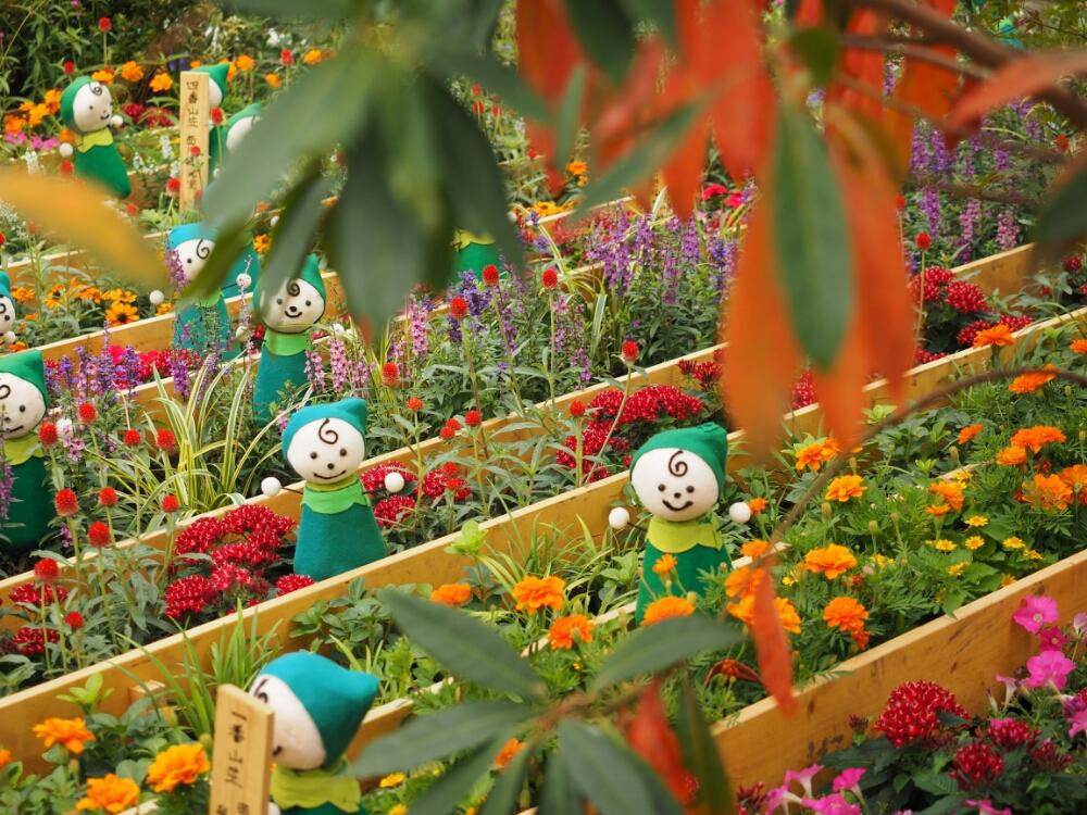 お出かけ先の画像 by もと(^^;さん | お出かけ先とキンセンカと公園と全国都市緑化はちおうじフェアと冨士森公園