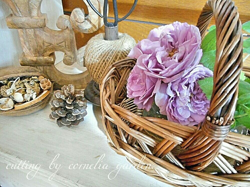 部屋の画像 by コーネリアさん | 部屋とバラ レイニーブルーとWEEKEND FLOWERと木の実と植物のある暮らしとバスケットと薔薇愛同盟とバラのある暮らしと植中毒とハーブと花のある暮らしとバラ・ミニバラと秋のリビングフラワーといい香り♡と切り花と❤️いいね、ありがとう