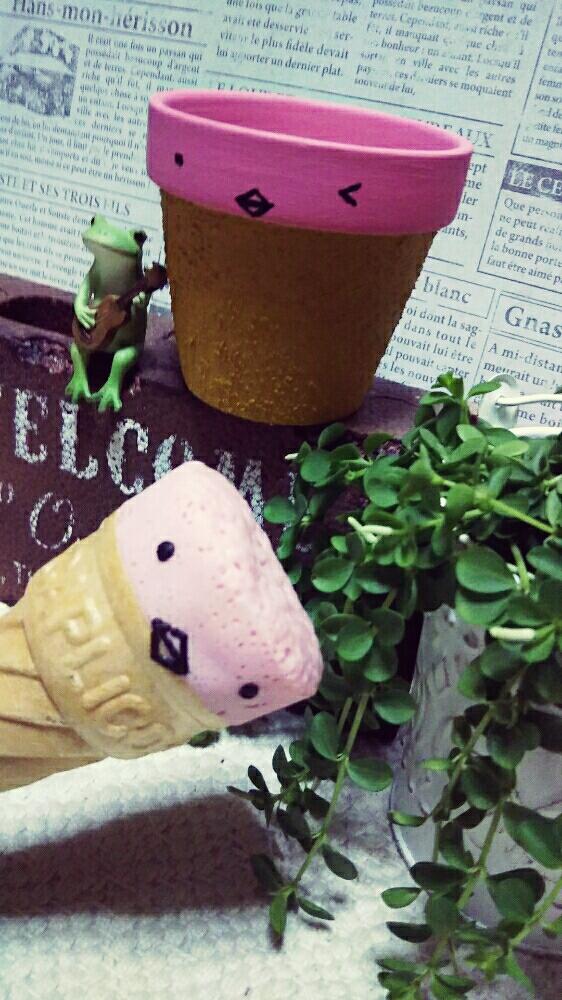 部屋の画像 by しのんさん | 部屋とペペロミアデピーナとHTCとカエルのコポーとかわいい♡とさなぼてんチャンのリメ鉢とうれしい!とカプすけ鉢とコラボれた!とカプすけ❤︎とHTC No.16とありがとう♡