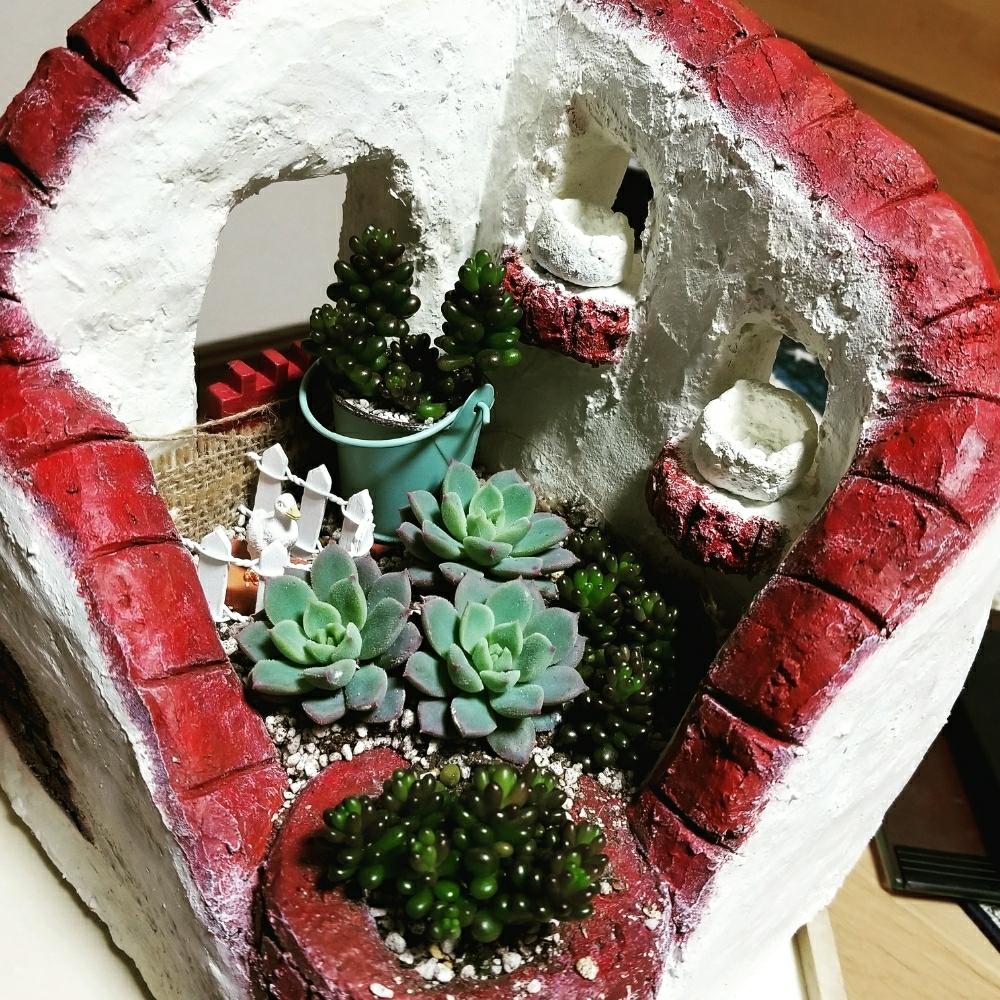 バルコニー/ベランダの画像 by タカナミンさん | バルコニー/ベランダと多肉植物とクイテンシス☆とタニラーとバルコニストと多肉 箱庭