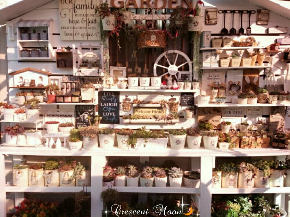 棚の画像 by *☆三日月☆*さん | 棚と雑貨好き♡と多肉色物とDIY多肉棚と秋の風景とDIY&HANDMADEコンテストと多肉棚DIY