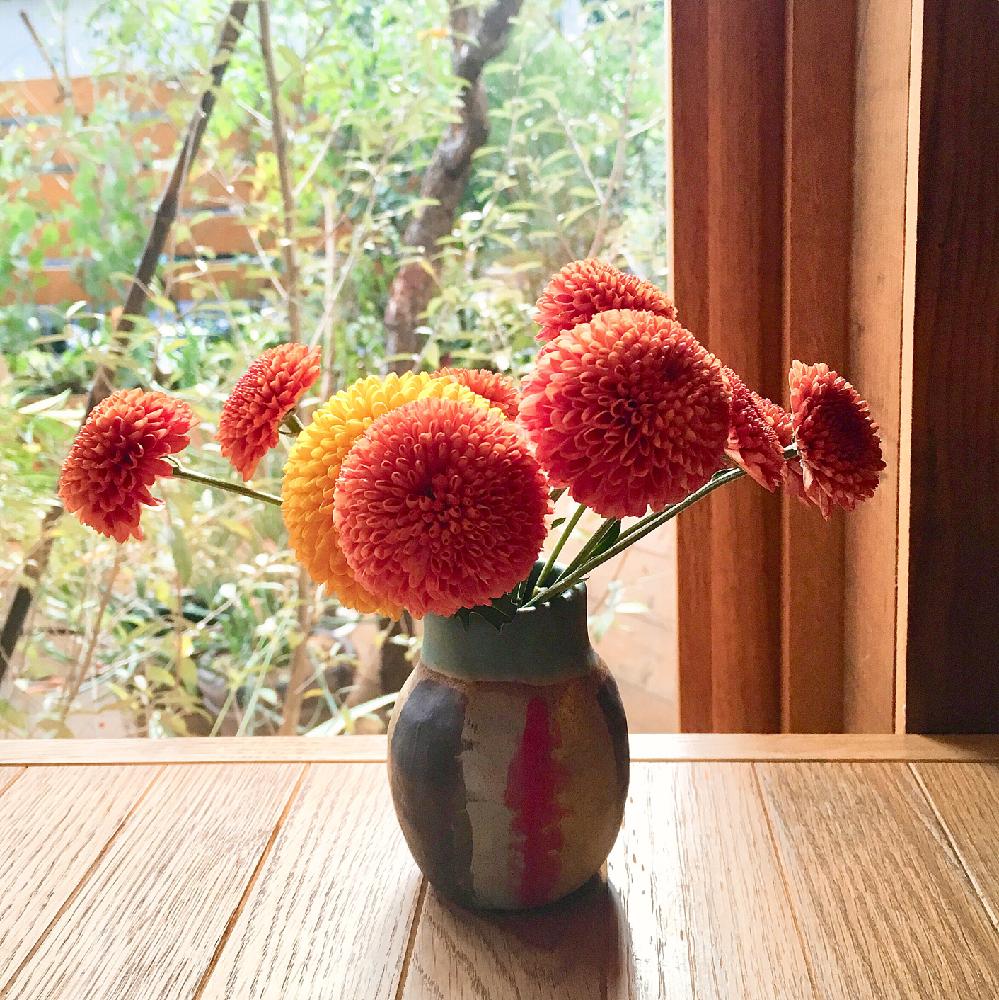 お出かけ先の画像 by Michiko*さん | お出かけ先とダリアとカフェと花のある暮らし