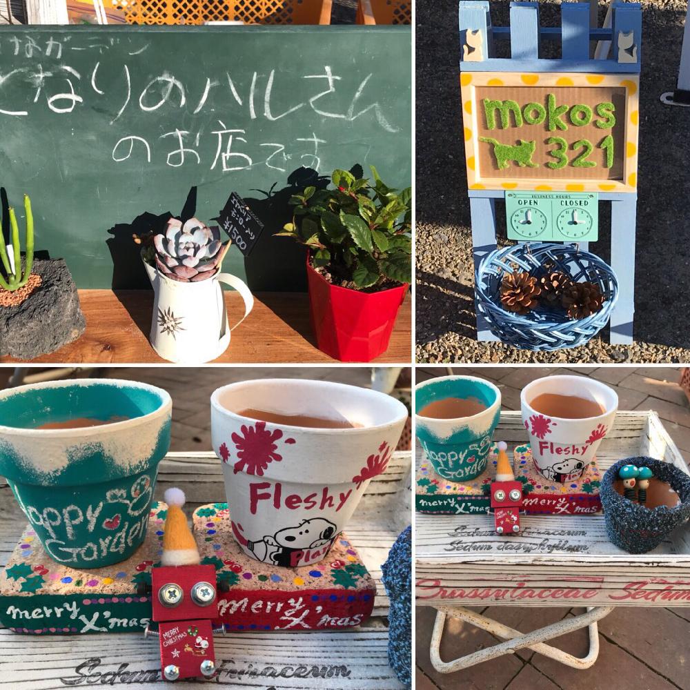 小さな庭の画像 by ニコちゃん大王さん | 小さな庭とお買い物と植中毒とリメ鉢と多肉中毒❣️とフリマとHTC社員