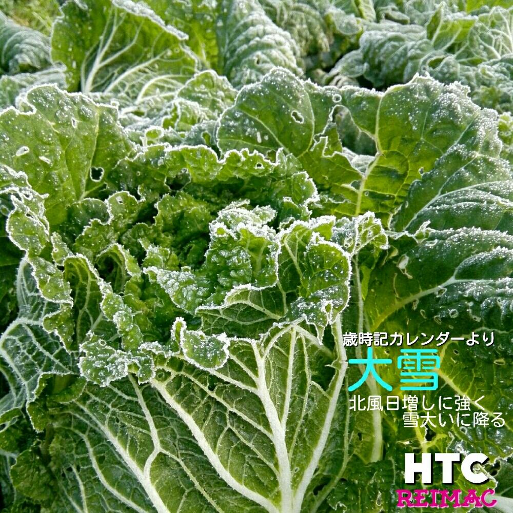 畑の画像 by レイマックさん | 畑とハクサイとHTCと全国オヤジ連合会no.18と家庭菜園とHTC 秘書と全国オヤジ連合会と今日の一枚と歳時記カレンダーより