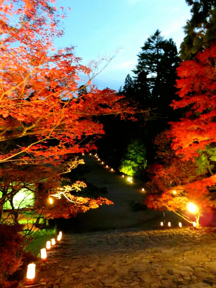 お出かけ先の画像 by ブルームーンさん | お出かけ先とモミジと『紅葉』コンテストと紅葉ライトアップ