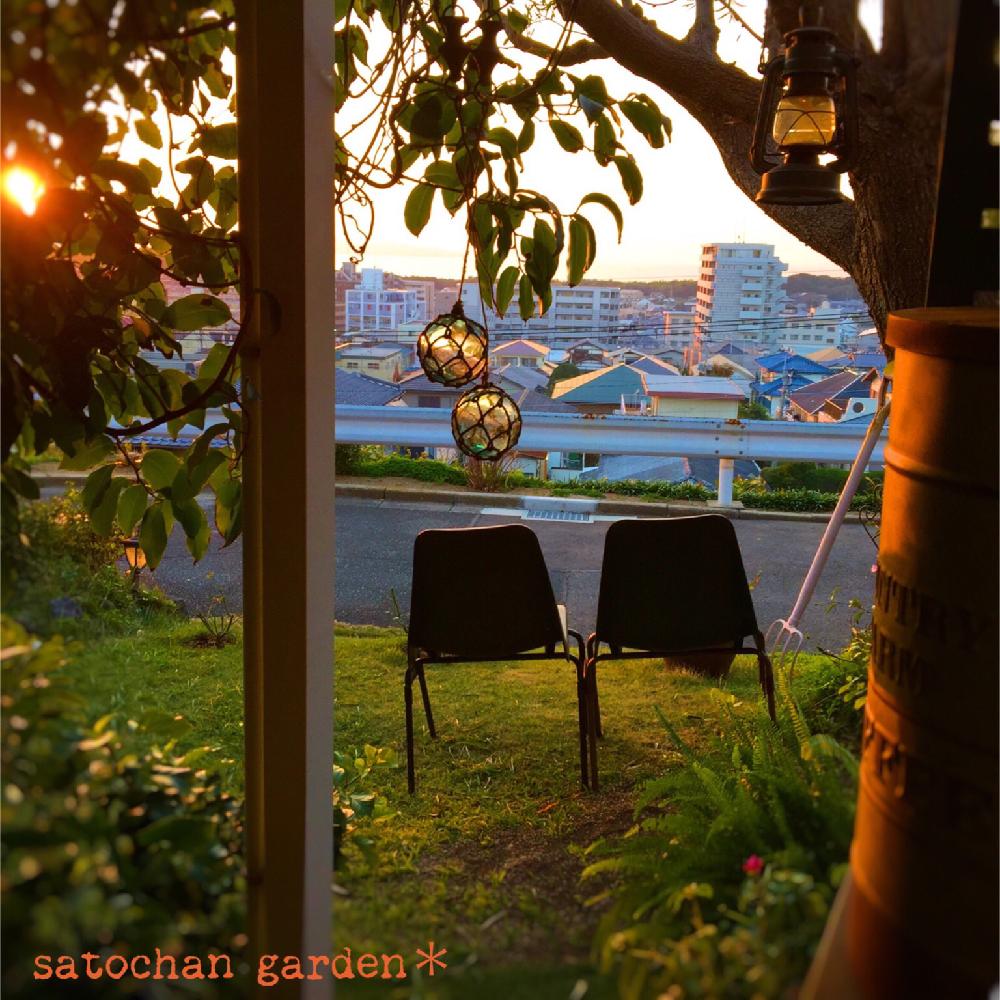 小さな庭の画像 by satochan✳︎さん | 小さな庭とsatochan garden*とbotanical lifeとGS映えと美男葛❇︎