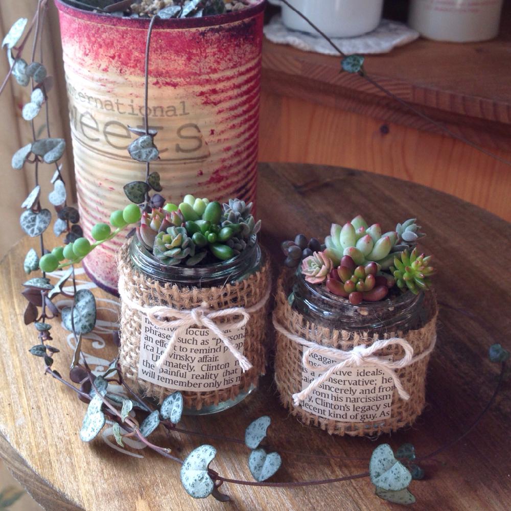 窓辺の画像 by purple butterfly♪さん | 窓辺と 虹の玉と多肉植物 ビアホップと寄せ植えとかわゆす♡とハンメリー♡と多肉 グリーンネックレスと小瓶とカリシア♡とpurpleのカリシアと宮城県とかわいいな♡と桜色カリシア