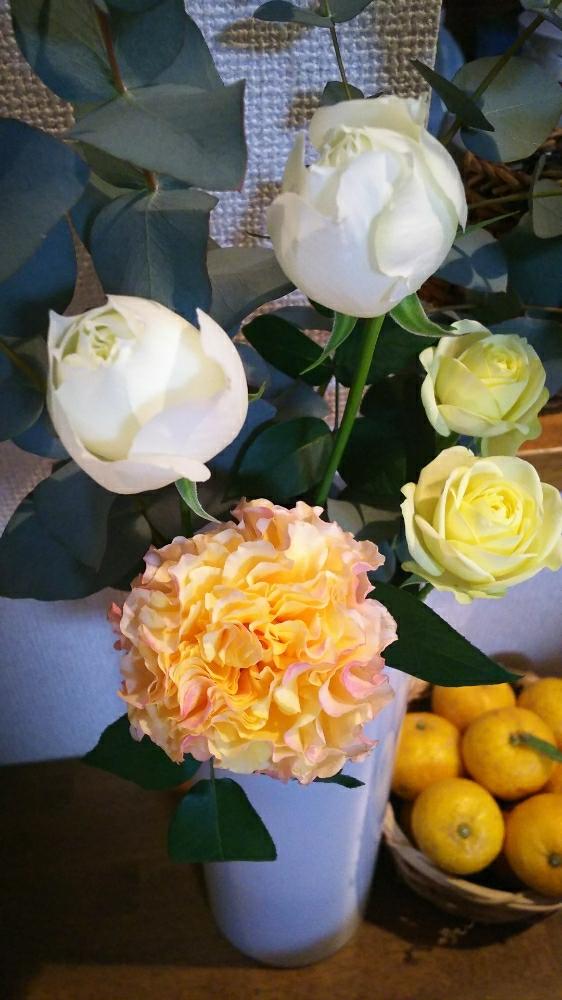 キッチンの画像 by mokamoka01さん | キッチンとユーカリ♡と薔薇♪と花のある暮らしと今日の一枚とラ ・カンパネラ