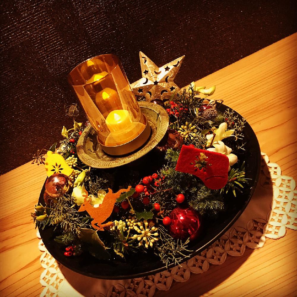 部屋の画像 by zozpopさん | 部屋とよせ植えとみどりのある暮らしと観葉植物とおもしろいと【Xmas2017】フォトコンと花・と季節の花とポインセチア♡と植中毒とplantsと今日のお花と花のある暮らしと生物とクリスマスアレンジとインテリアグリーンとクリスマス