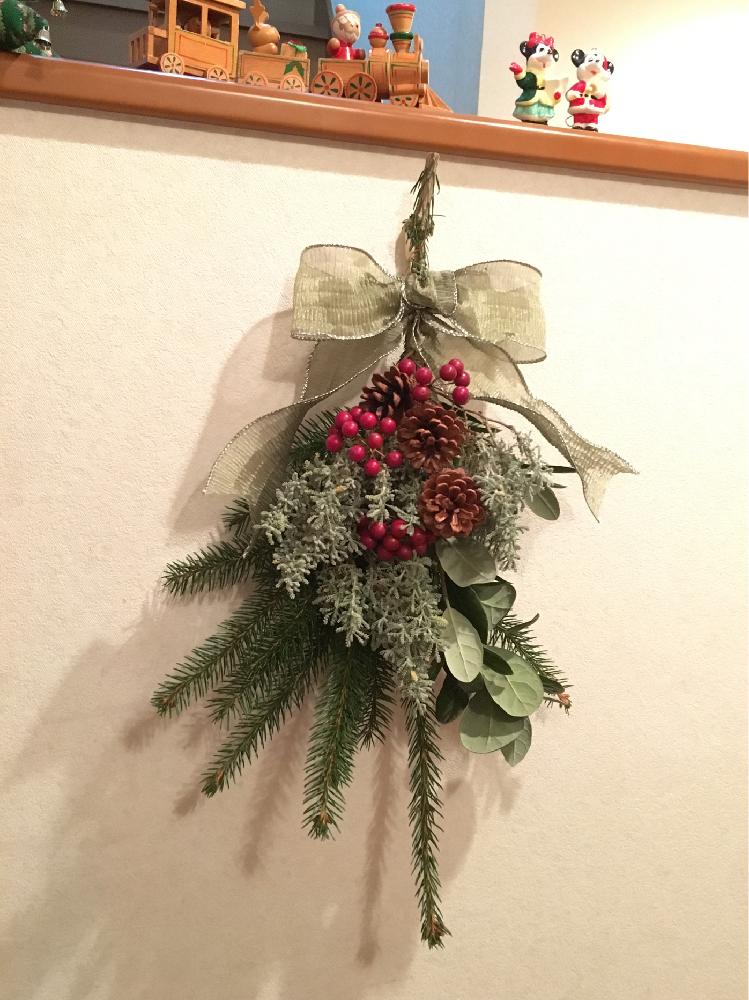 玄関の画像 by りりこさん | 玄関とドイツトウヒとフェイジョアとサントリナとサンキライと手作りクリスマスと【Xmas2017】フォトコンとスワッグと植中毒とクリスマスディスプレイと花のある暮らしとクリスマススワッグ
