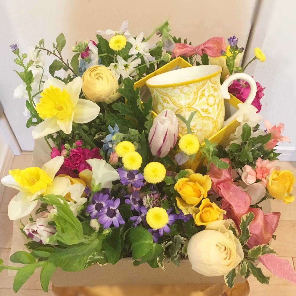 部屋の画像 by hiromiさん | 部屋とスイセンとマトリカリアとスナップエンドウとサイネリアとラナンキュラスとスイートピーとピットスポルムとスプレーバラとチューリップとスプレーストックとブルースターとスプレーカーネーションとオキシペタルム とスマイルアレンジメントとボックスアレンジメントとレッスンとナチュラルスタイルとフラワーアレンジメントと花のある暮らしと切り花