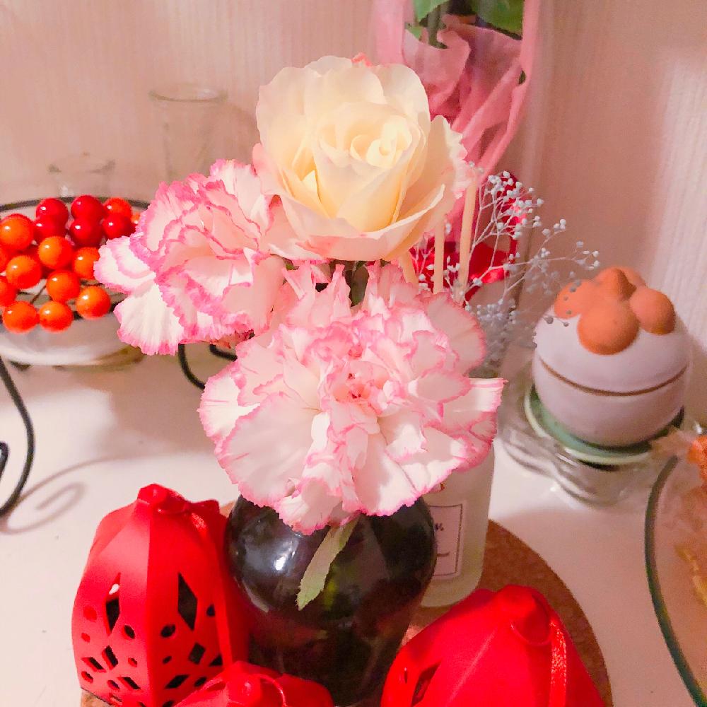 玄関の画像 by gioさん | 玄関とバラ マチルダとカーネーションと開花とばら バラ 薔薇とiPhoneXと初心者と癒しと修行中と可愛いと花のある暮らしとロザリアンとiPhone撮影